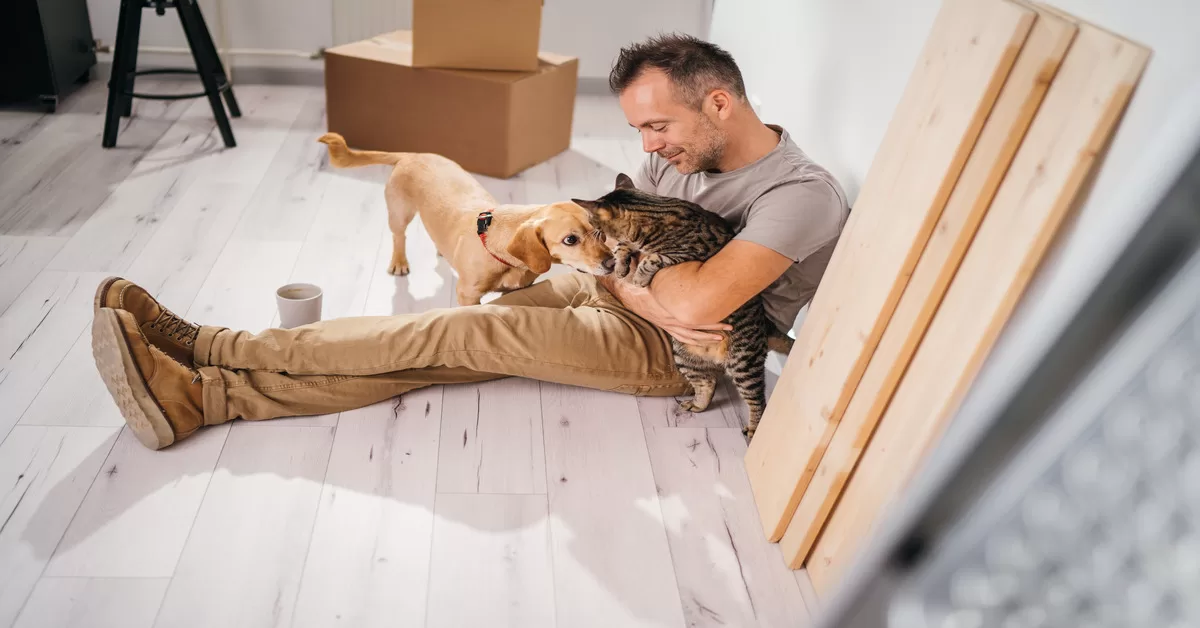 A man sits against the wall on the floor, holding a tabby cat. A tan dachshund stands near the man, staring at the cat.