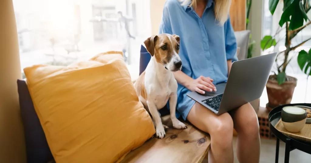 A woman sits on a built-in window bench, using a laptop, with her Jack Russell terrier sitting next to her.